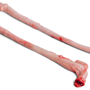 Buy Frozen Pork Penis In Spain